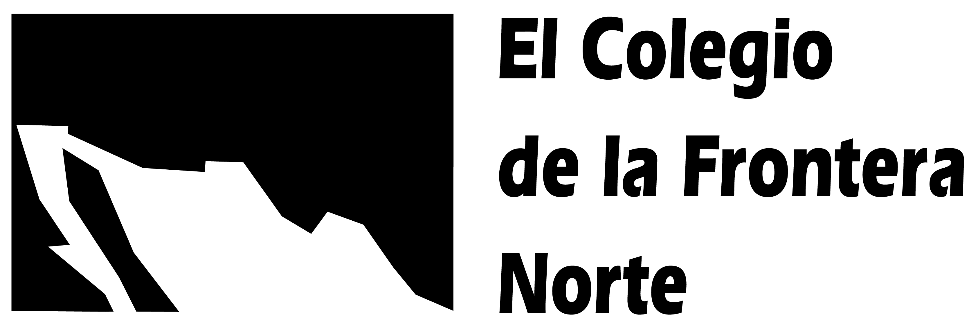 https://www.colef.mx/